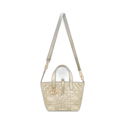 Small Dior Toujours Vertical Tote Bag