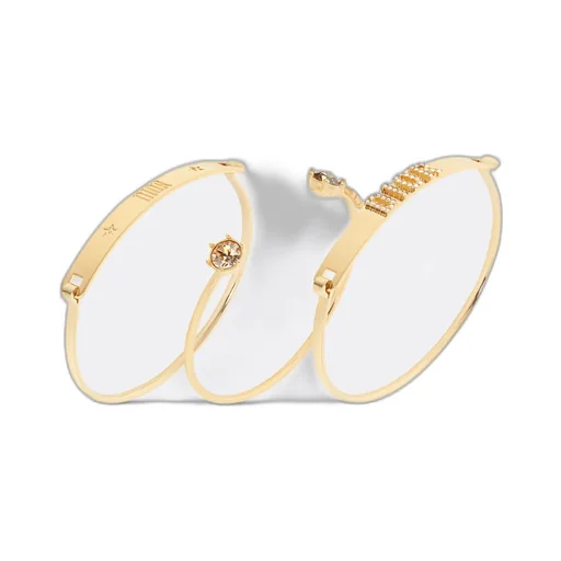 Dioevolution Bracelet Set