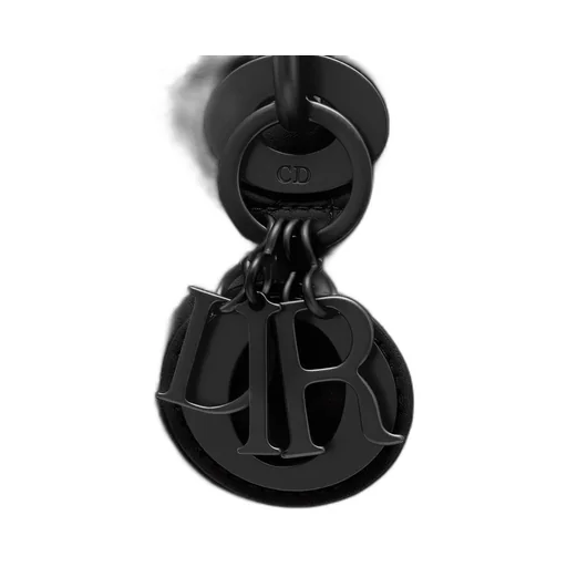 Mini Lady Dior Bag