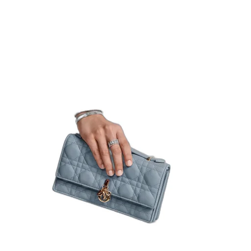 My Dior Mini Bag