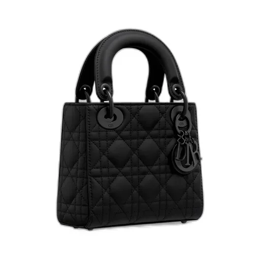 Mini Lady Dior Bag