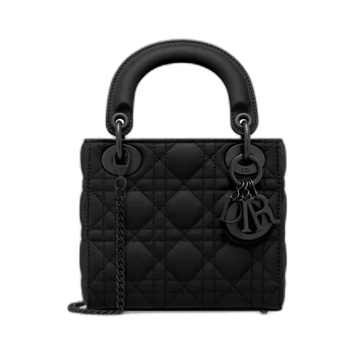Mini Lady Dior Bag