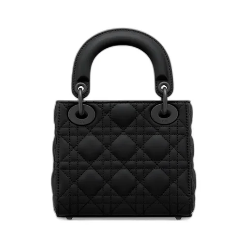 Mini Lady Dior Bag