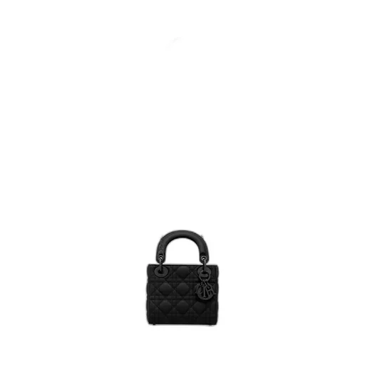 Mini Lady Dior Bag