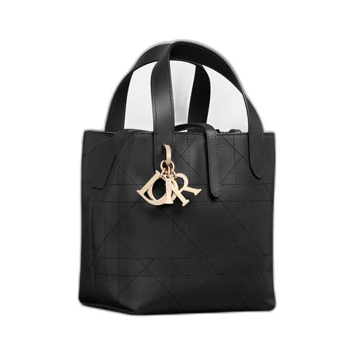 Small Dior Toujours Vertical Tote Bag