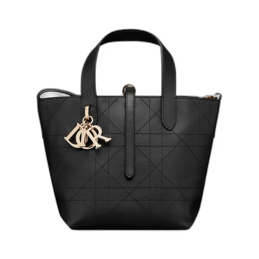 Small Dior Toujours Vertical Tote Bag