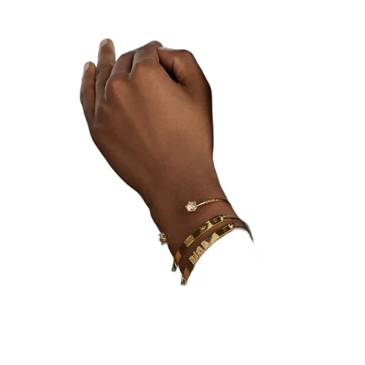 Dioevolution Bracelet Set