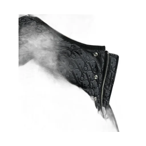 Dior Oblique Hooded Quilted Down Jacket