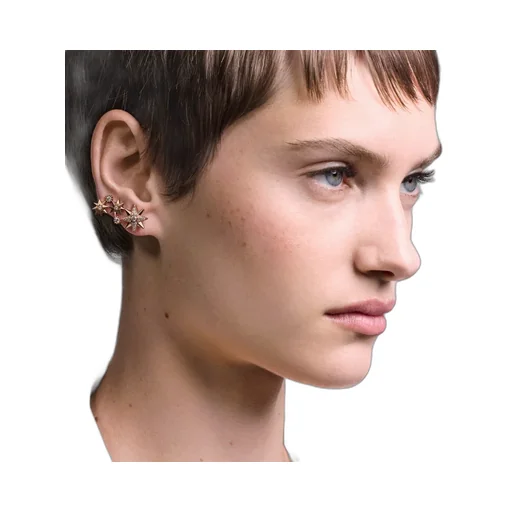 ÉToile Des Vents Single Earring
