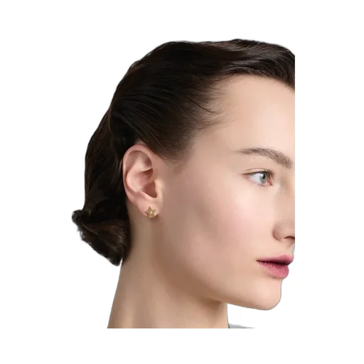 Dioevolution Earrings