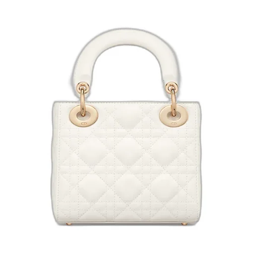 Mini Lady Dior Bag