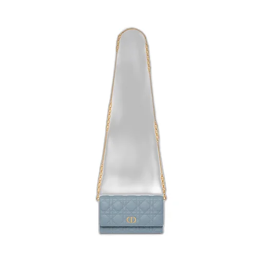 Dior Caro Pouch With Chain