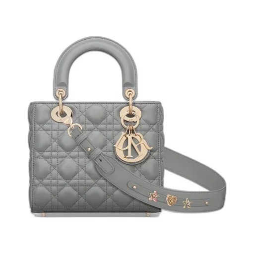 Small Lady Dior My Abcdior Bag