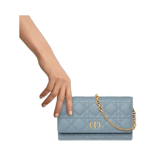 Dior Caro Pouch With Chain