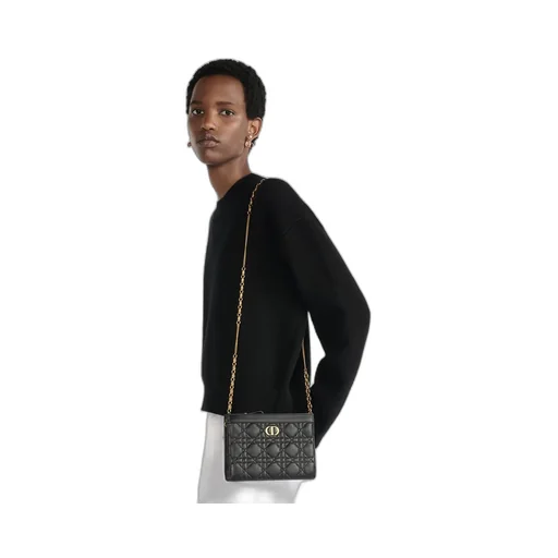 Dior Caro Every Dior Pouch