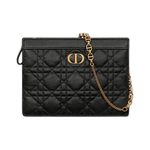 Dior Caro Every Dior Pouch