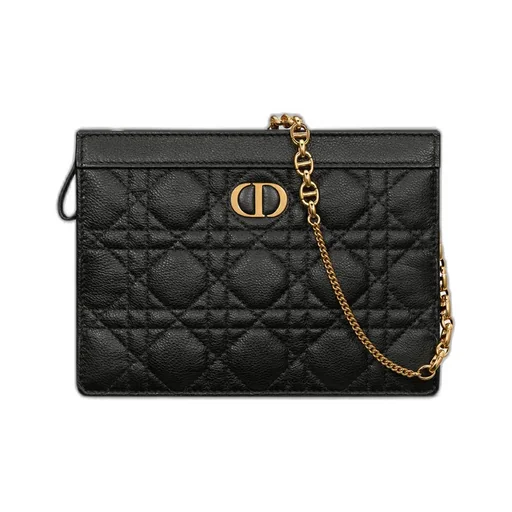 Dior Caro Every Dior Pouch