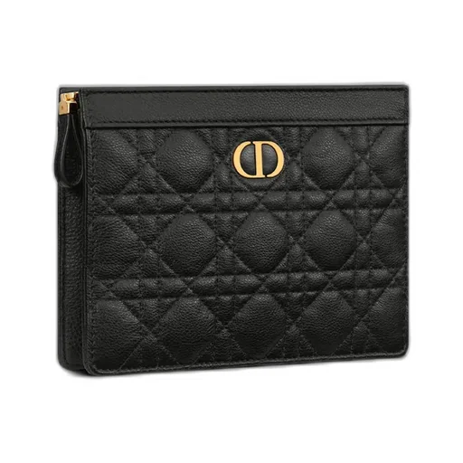 Dior Caro Every Dior Pouch