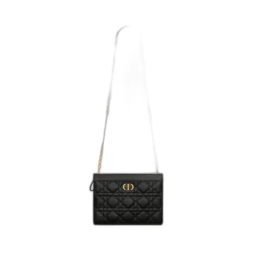 Dior Caro Every Dior Pouch