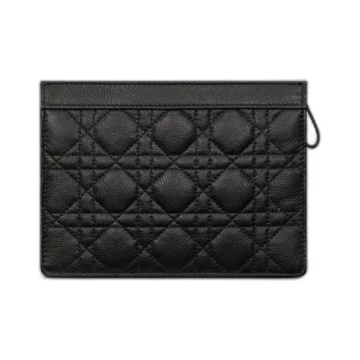 Dior Caro Every Dior Pouch