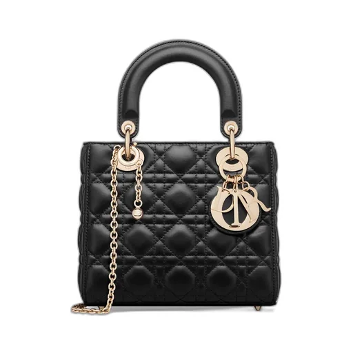 My Lady Dior And I Bag