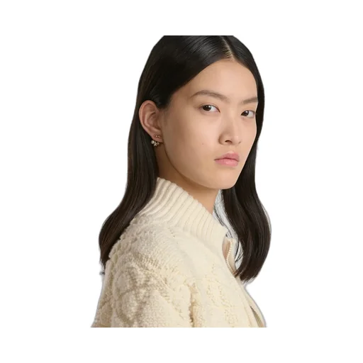Dioevolution Earrings