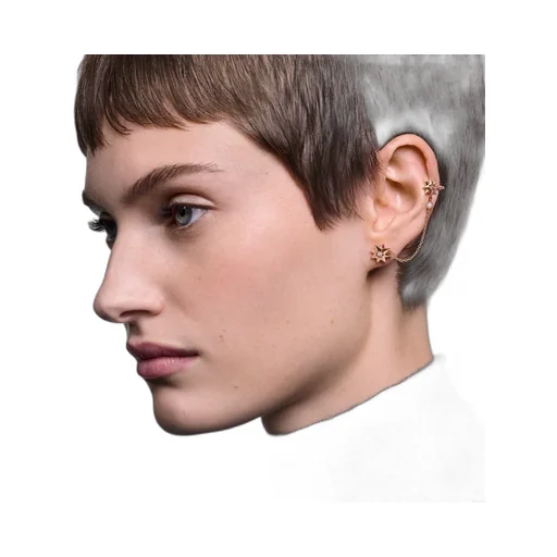 ÉToile Des Vents Single Earring
