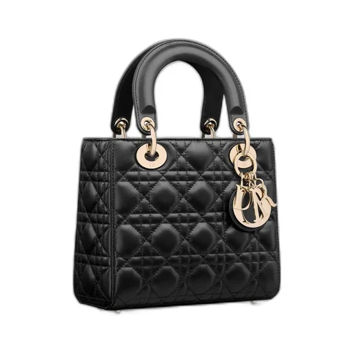 My Lady Dior And I Bag