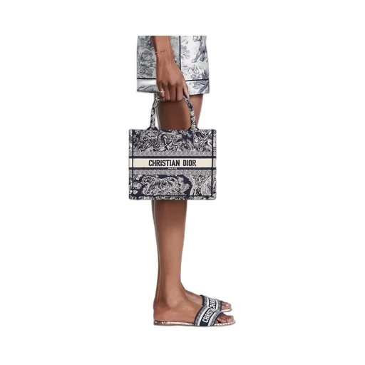 Small Dior Book Tote