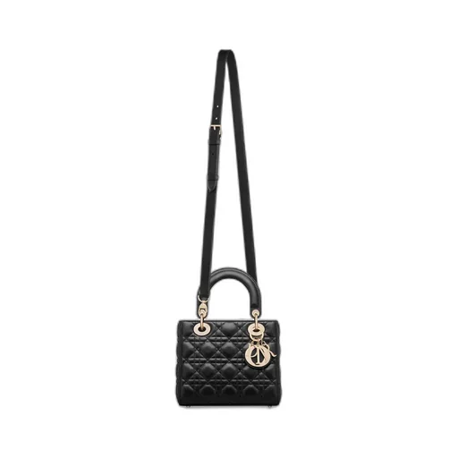 My Lady Dior And I Bag
