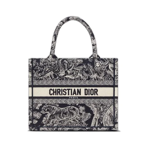 Small Dior Book Tote