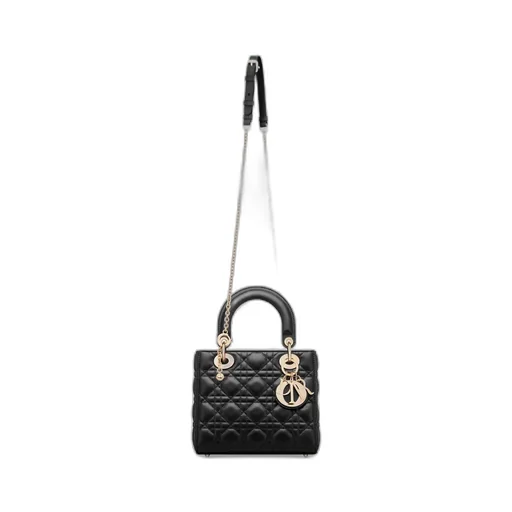 My Lady Dior And I Bag