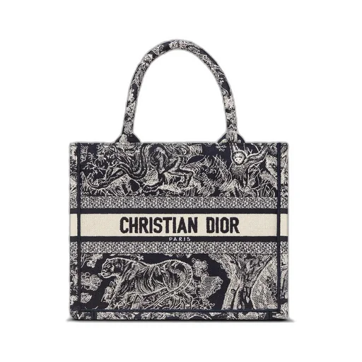Small Dior Book Tote
