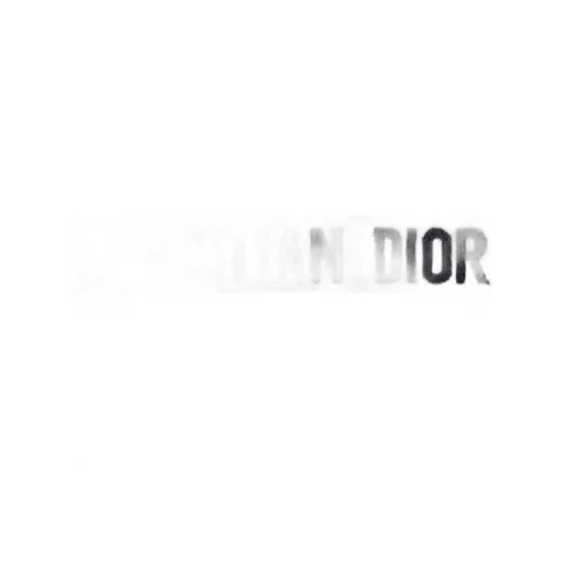 Small Dior Book Tote
