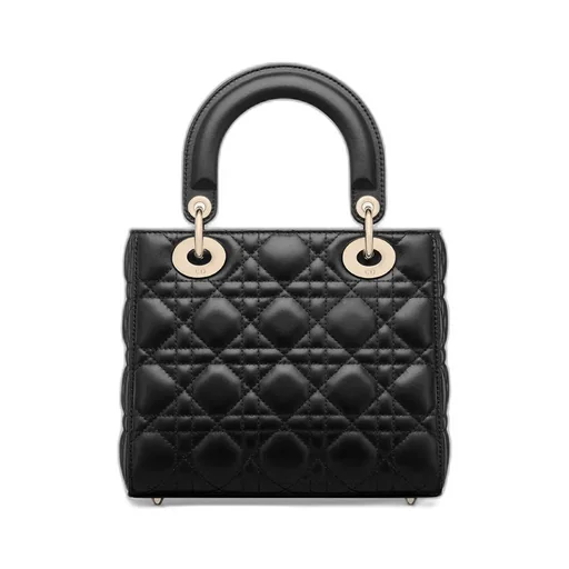 My Lady Dior And I Bag