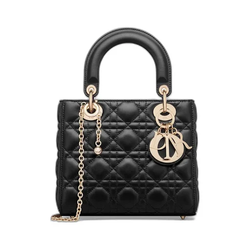 My Lady Dior And I Bag
