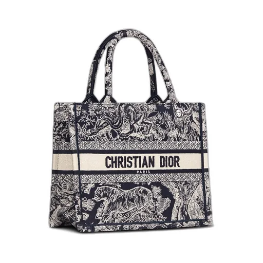 Small Dior Book Tote
