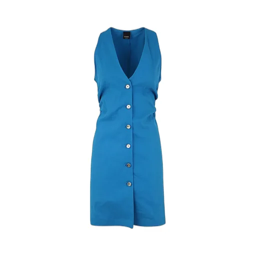 Pinko Buttoned V-Neck Minidress