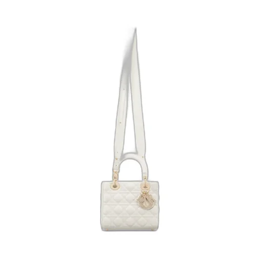 Small Lady Dior My Abcdior Bag