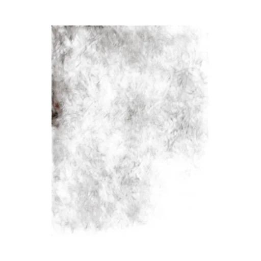 Plan C Reversible Shearling Vest