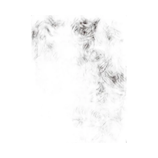 Plan C Shearling Stole Scarf