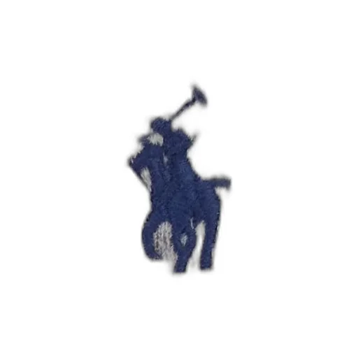 Polo Ralph Lauren Zip-Up Drawstring Hoodie
