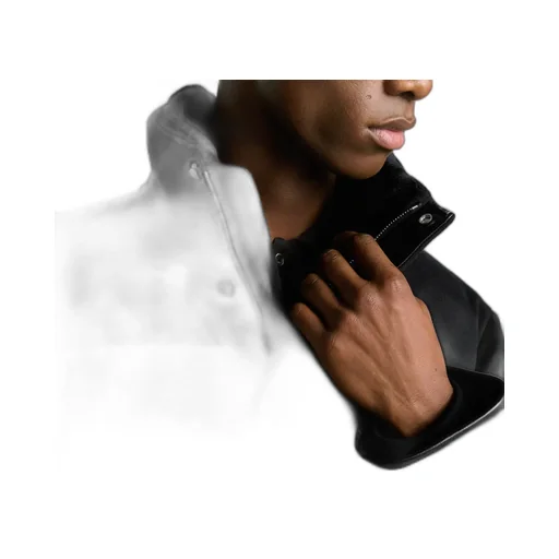 Dior Icons Down Jacket