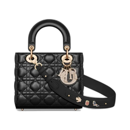 Small Lady Dior My Abcdior Bag