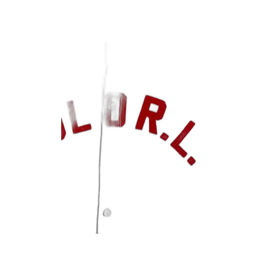 Polo Ralph Lauren Logo Printed Crewneck Snapped Sweatshirt