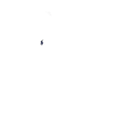 Polo Ralph Lauren Logo-Embroidered Long-Sleeved Polo Shirt