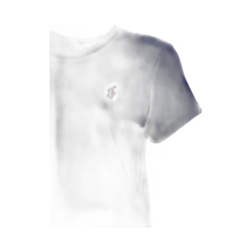 Polo Ralph Lauren Pony Embroidered Crewneck T-Shirt