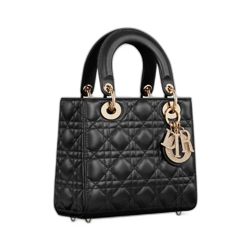 Small Lady Dior My Abcdior Bag