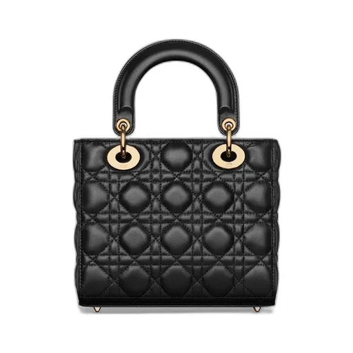 Small Lady Dior My Abcdior Bag