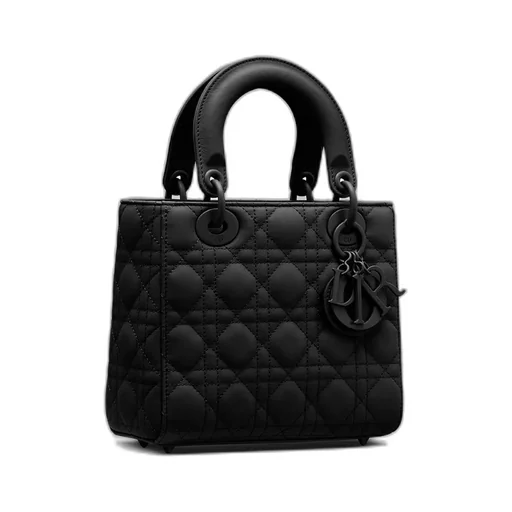 Small Lady Dior My Abcdior Bag